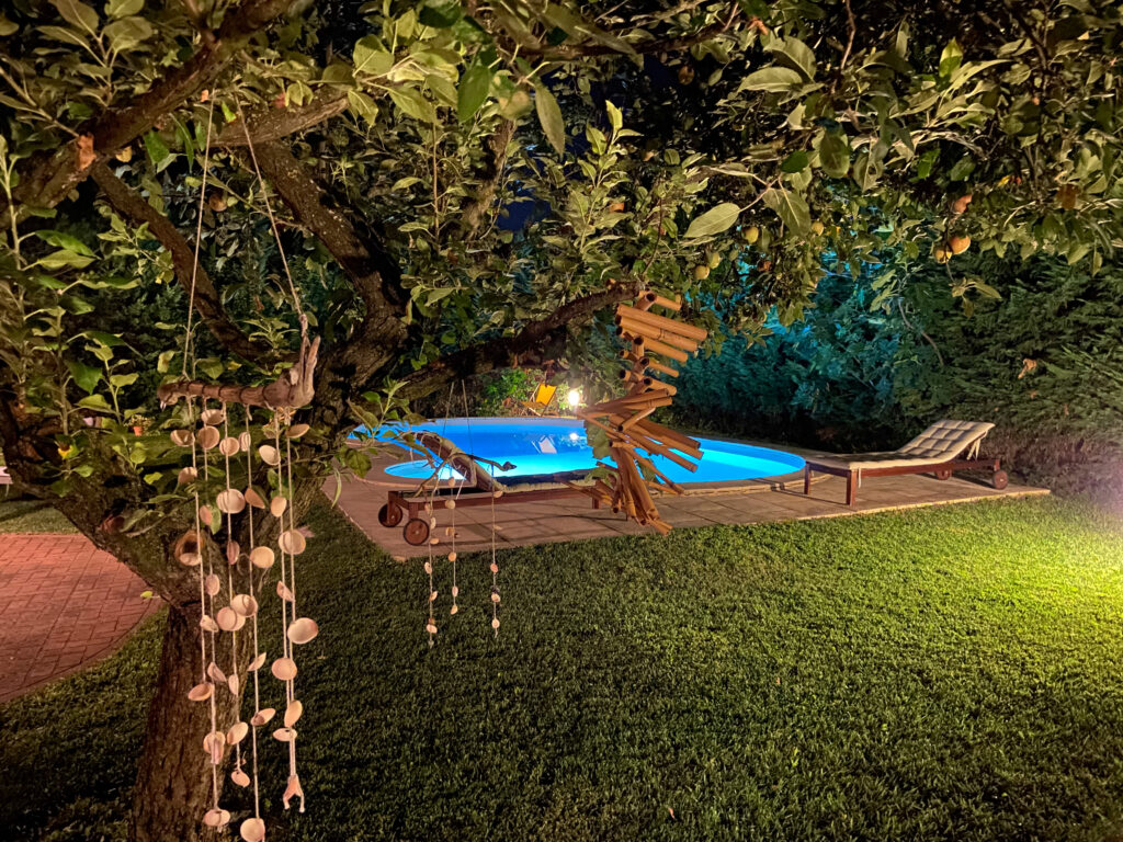 15Tuffi nella luce 2023 giardino sera 1